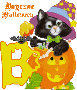 Les superstitions du chat  !