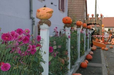 Ide dco : Autour de la maison !