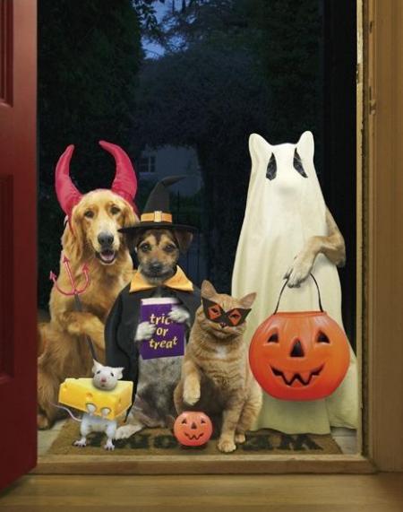 Des bonbons ou on te jette un sort !